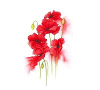 Adesivo Per Tatuaggio Con Motivo Floreale Di Papavero Fiore Rosso Sangue Acquerello Spalla Impermeabile Clavicola Romantica Tatuaggio Temporaneo Falso Adesivo