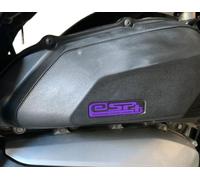 Adesivo resinato ESP+ 7x1,7cm Viola per Filtro Sh 125 150 2020 2021 2022 2023