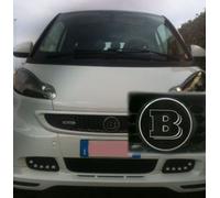 Adesivo RESINATO STIKERS 3D GRIGLIA Smart 451 2012 Mascherina