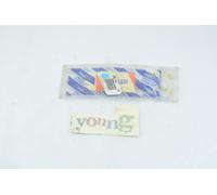 ADESIVO SCRITTA SIGLA MODELLO YOUNG FIAT 500 1992 - 1998 FIAT 46475949