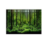 Adesivo Sfondo Acquario PVC Impermeabile Facile da Pulire e Applicare con Design Autoadesivo per Serbatoi Pesce di Diverse Dimensioni - 122 x 46 cm