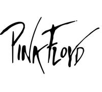 Adesivo Sticker Compatibile con Pink Scritta The Wall (Bianco, Grande 17,5 * 10 cm)