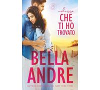 Adesso Che Ti Ho Trovato: I Sullivan, Libro 17