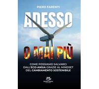 Adesso o mai più. Come possiamo salvarci dall'eco-ansia grazie al mindset del cambiamento sostenibile