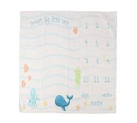 Adfaga Coperta Milestone Morbida e lussuosa, lavabile in lavatrice, per foto mensili, per fotografie di neonati, ricordi del primo anno, 99,4 x 99,4 pollici, in poliestere.