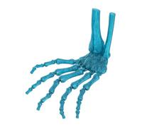 Adfaga Scheletro Stampato in 3D Articolato a Mano Modello in Plastica Spaventoso Realistico Halloween Prop per Strega Fantasma Costume Cosplay Decorazione della Casa Stregata