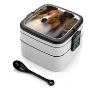 ADFGYERH Contenitore per il pranzo con cane pastore delle Shetland, a doppio strato, con divisorio e cucchiaio, portatile, per mangiare fuori, lavoro, viaggi, picnic, adatto sia per uomini che per