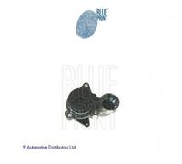 ADG09153 Pompa acqua (MARCA-BLUEPRINT)