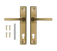 ADGO Set di maniglie per porta, 72 pezzi, sinistra destra, maniglia per porta, maniglia per porta, in alluminio zincato, manico per una serratura stretta su un piatto lungo dipinto (oro)