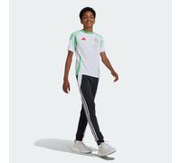 Adidas Algeria 24 Home Bambini - Maglie/Repliche Bianco - Taglia 135 - 140 CM - Poly Mesh White 135 - 140 CM