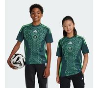Adidas Algeria Bambini - Maglie/Repliche Verde - Taglia 159 - 164 CM - Poly Mesh Green 159 - 164 CM