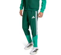 Adidas Algeria Uomo - Pantaloni Verde - Taglia L - Poly Woven Green L