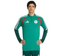 Adidas Algeria 26/27 Training Sweatshirt Verde L / Regular Uomo