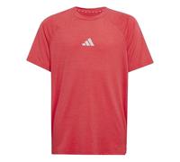 adidas ALL SPORTS FAVORITE T-SHIRT, T-shirt Bambino, pure ruby/lucid red/REFLECTIVE SILVER,