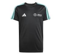 Adidas Bambino Mercedes - AMG Petronas Formula One Team Dna Tee Youth, Black/White, 15-16 Years