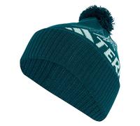 Adidas Berrretto Terrex Xploric Pom