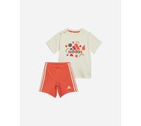 Adidas Boy Jr - Completo - Beige