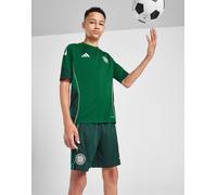 adidas Celtic Pantaloncino Allenamento Junior, Verde 11-12Y