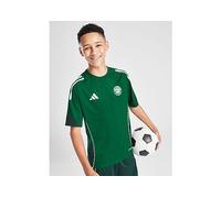 adidas Celtic Training Shirt Junior, Verde 11-12Y