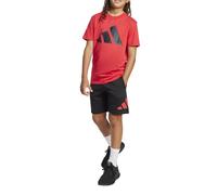adidas Unisex - Bambini ESSENTIALS BIG LOGO T-SHIRT SET, pure ruby/black, 11-12 Years