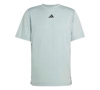 D4T ESSENTIALS T-SHIRT Wonder Sage M