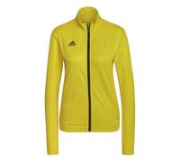 Adidas Entrada 22 Jacket Giallo XS / Regular Donna