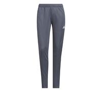 adidas Donna Tracksuit Pants Tiro23 L Pnt W, Team Onix, IB8479, L