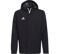 Adidas Giacca Ent22 Aw