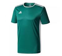 adidas Entrada 18 Jersey Adulto, Maglietta Uomo, Verde, XL