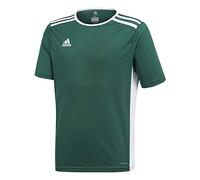 adidas Entrada 18 Jersey, Maglia Unisex Bambini, Collegiate Green/White, 152