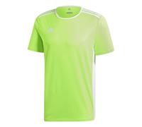 adidas Entrada 18 Maglietta, Verde (Solar Green/White), S Uomo