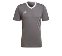 adidas Entrada 22 Jersey, T-Shirt Uomo, Team Grey Four, XL