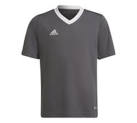 adidas Entrada 22 T-Shirt, T-Shirt Unisex - Bambini e ragazzi, Team Grey Four, 128