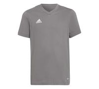 adidas Entrada 22 T-Shirt, T-Shirt Unisex - Bambini e ragazzi, Team Grey Four, 152