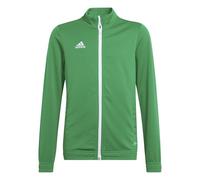 adidas Entrada 22 Track Jacket, Giacca Unisex-Bambini, Team Green/White, 5-6 Years