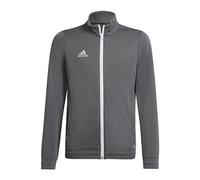 Felpa per ragazzi Adidas Kids Entrada 22 Track Jacket - grey 164 cm