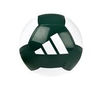 Pallone EPP Club Emerald / White 5