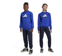 Adidas Junior Essentials Big Logo Fleece Tracksuit Selubl da Bambino 15-16 Anni Blu