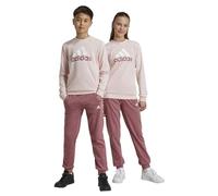 Adidas Tuta da Ragazza Essentials Big Logo French Terry Rosa Taglia 11-12 A C...