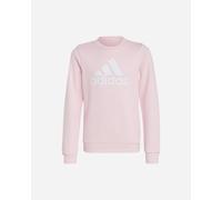 Adidas Essentials Big Logo Jr - Felpa