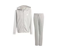 Adidas Essentials Tracksuit Grigio 13-14 Years Bambini