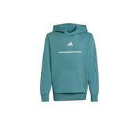 ADIDAS FELPA CON CAPPUCCIO JUNIOR INVERNO KC2804 B FL HODDIE PREL/TEAL