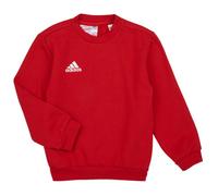 adidas Felpa ENT22 SW TOPY in Rosso 11 / 12 anni