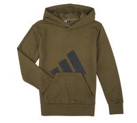 adidas Felpa Essentials Hoodie Kids in Kaki 11 / 12 anni