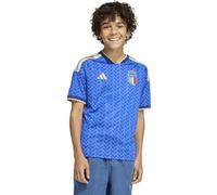 ADIDAS PERFORMANCE Maglia funzionale 'FIGC H JSY Y' beige / blu / azzurro / rosso Bambini ADIDAS PERFORMANCE 140