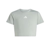 adidas Fille Train Essentials Seasonal Print T-Shirt, Wonder Sage/Silver Met., 5-6 Years