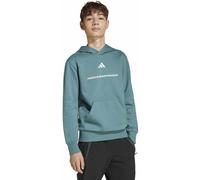 adidas Fleece Jr - felpa con cappuccio - ragazzo 7-8A Green junior Better Cotton Initiative