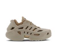 Adidas Fom Climacool male Scarpe - Beige - Rete/Sintetico - Foot Locker Beige 42 2/3