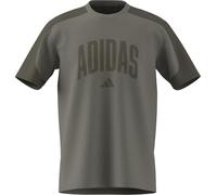 adidas Homme Collegiate T-Shirt, Silver Pebble/Olive Strata, M