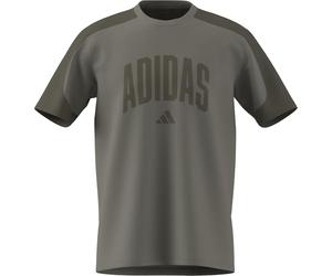 adidas Homme Collegiate T-Shirt, Silver Pebble/Olive Strata, XXL